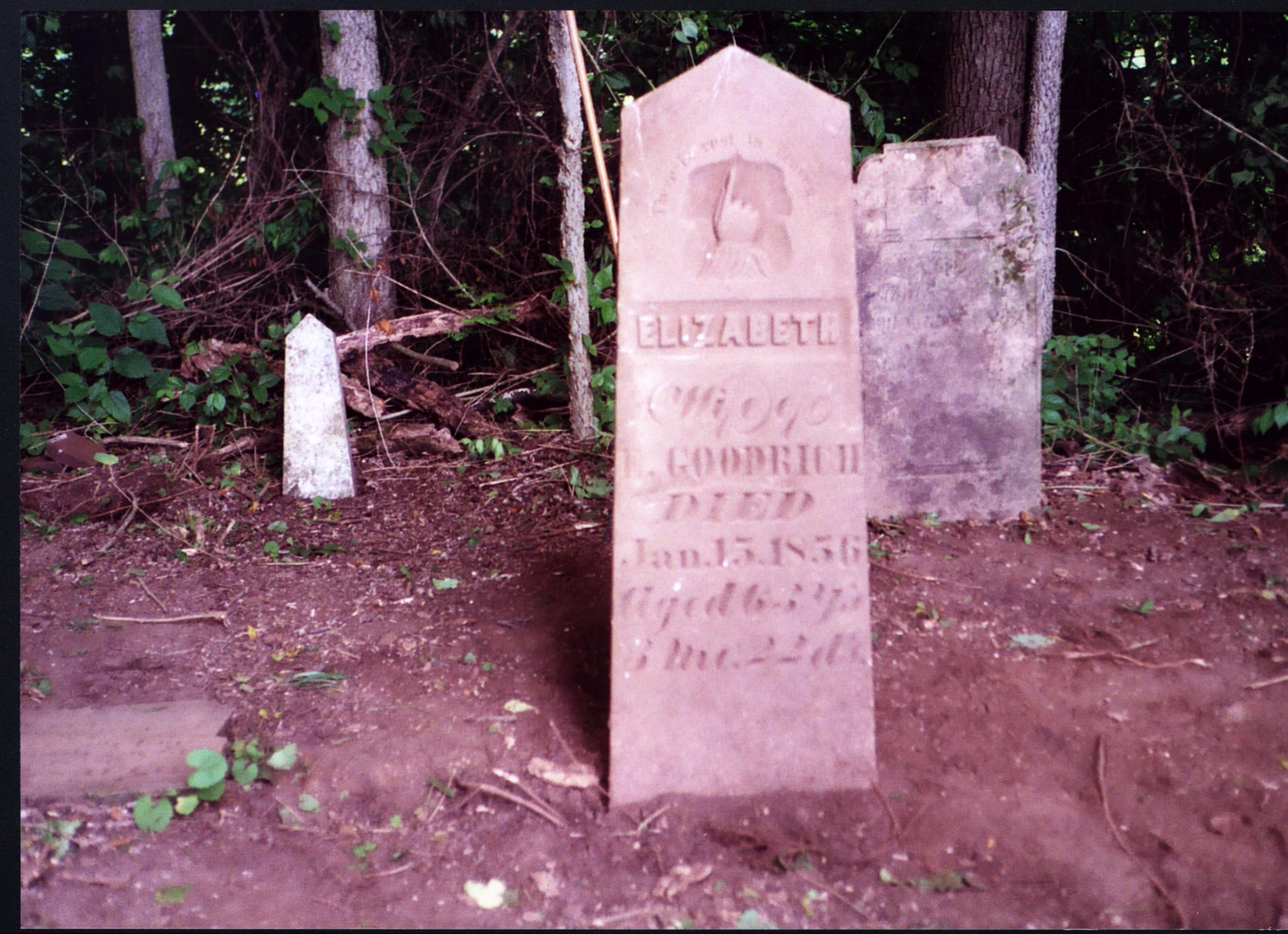 Elizabeth Goodrich Gravestone