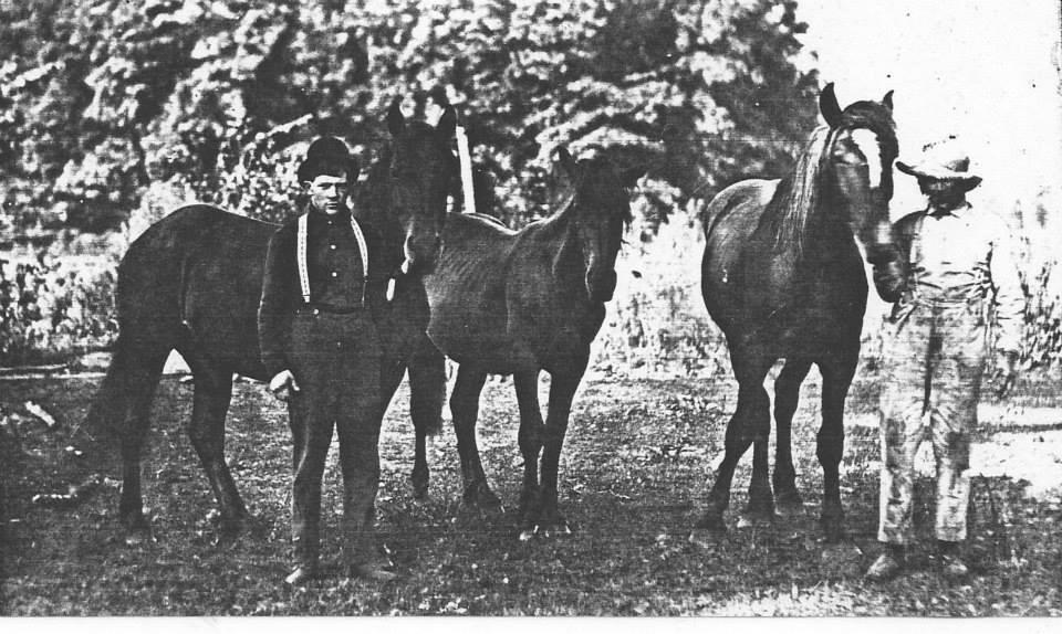 Photograph of Gardner Family Men with Horses