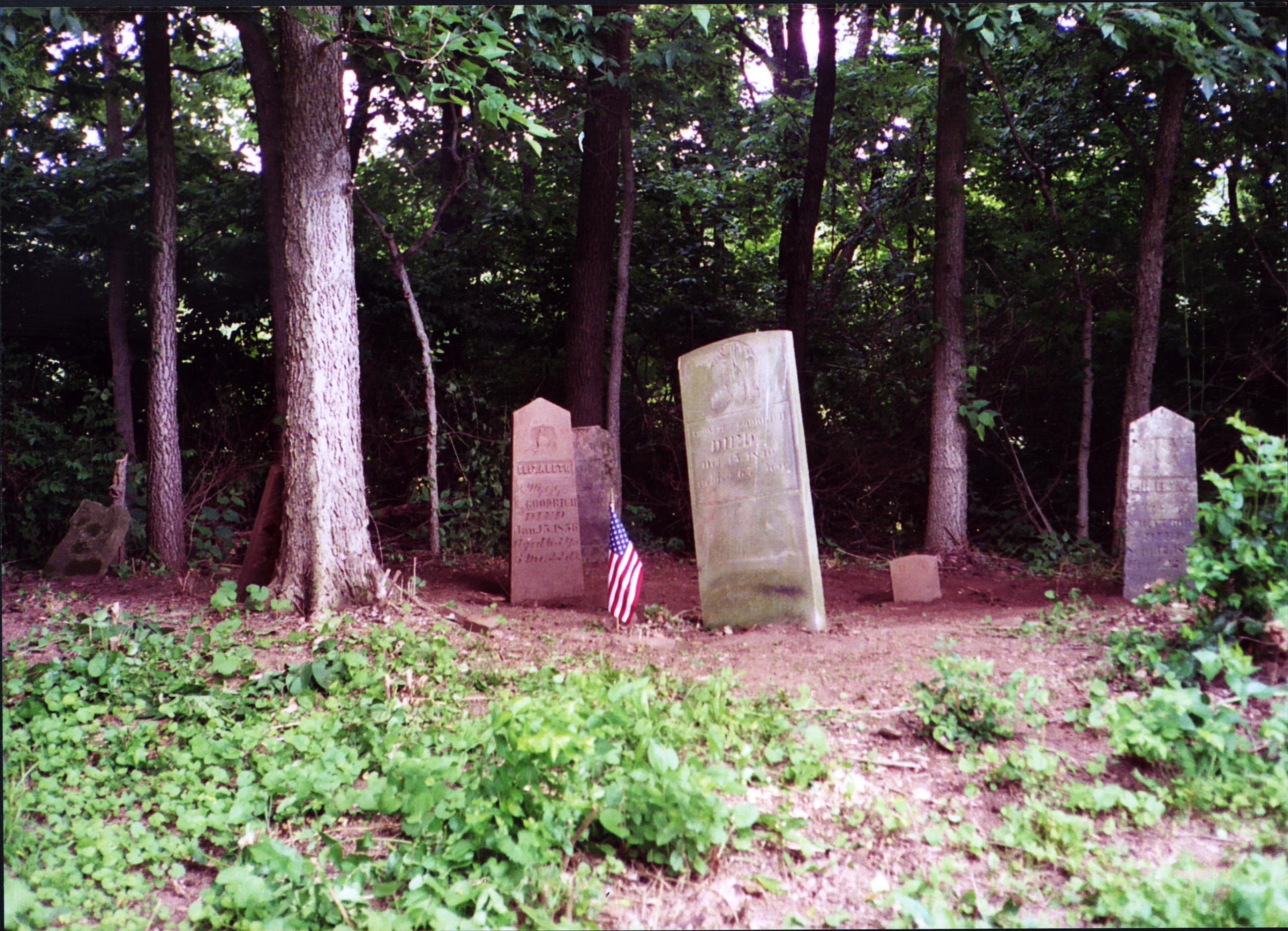 Youth Group Goodrich Cemetery Project