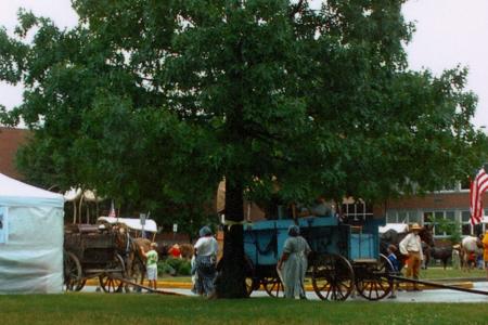 Bicentennial Charter Oak