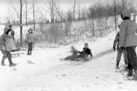 Children Sledding Down "Devil's Hill" Sled Run