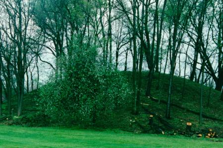 Jeffers Hopewell Prehistoric Mound