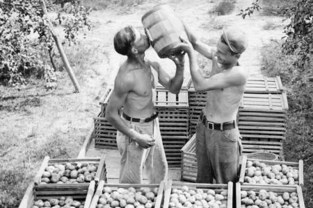 Photograph of Apple Pickers Drinking at the Brown Fruit Farm