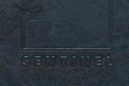 The Sentinel 1994