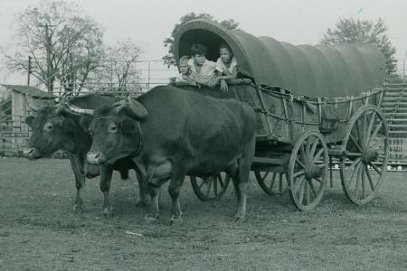 Worthington Sesqucentennial Pageant