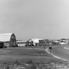 Residential Street Scene, Worthington Hills