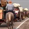 Worthington Bicentennial Wagon Train Raw Footage